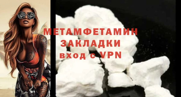 ГАЛЛЮЦИНОГЕННЫЕ ГРИБЫ Богданович
