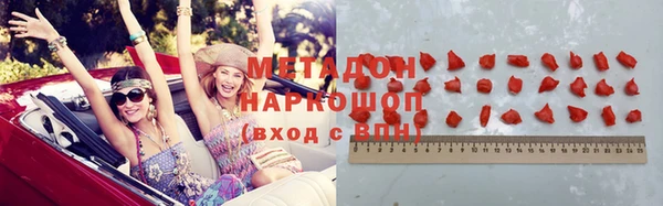 ГАЛЛЮЦИНОГЕННЫЕ ГРИБЫ Богданович