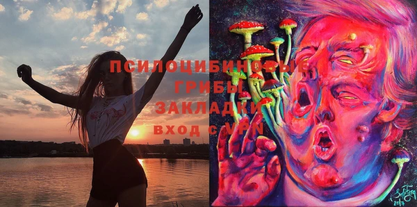 ГАЛЛЮЦИНОГЕННЫЕ ГРИБЫ Богданович