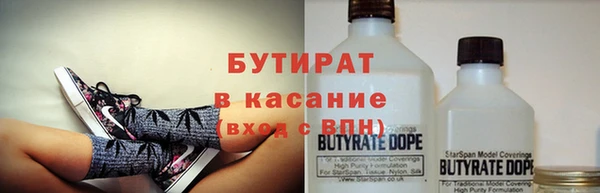дмт Бородино
