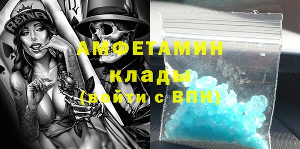 ГАЛЛЮЦИНОГЕННЫЕ ГРИБЫ Богданович