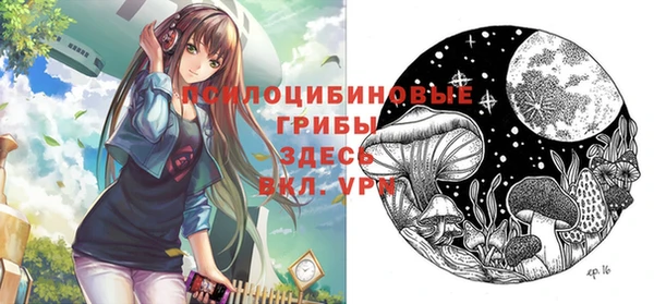 ГАЛЛЮЦИНОГЕННЫЕ ГРИБЫ Богданович