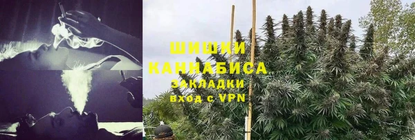 ГАЛЛЮЦИНОГЕННЫЕ ГРИБЫ Богданович