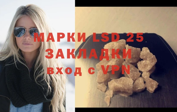 ГАЛЛЮЦИНОГЕННЫЕ ГРИБЫ Богданович